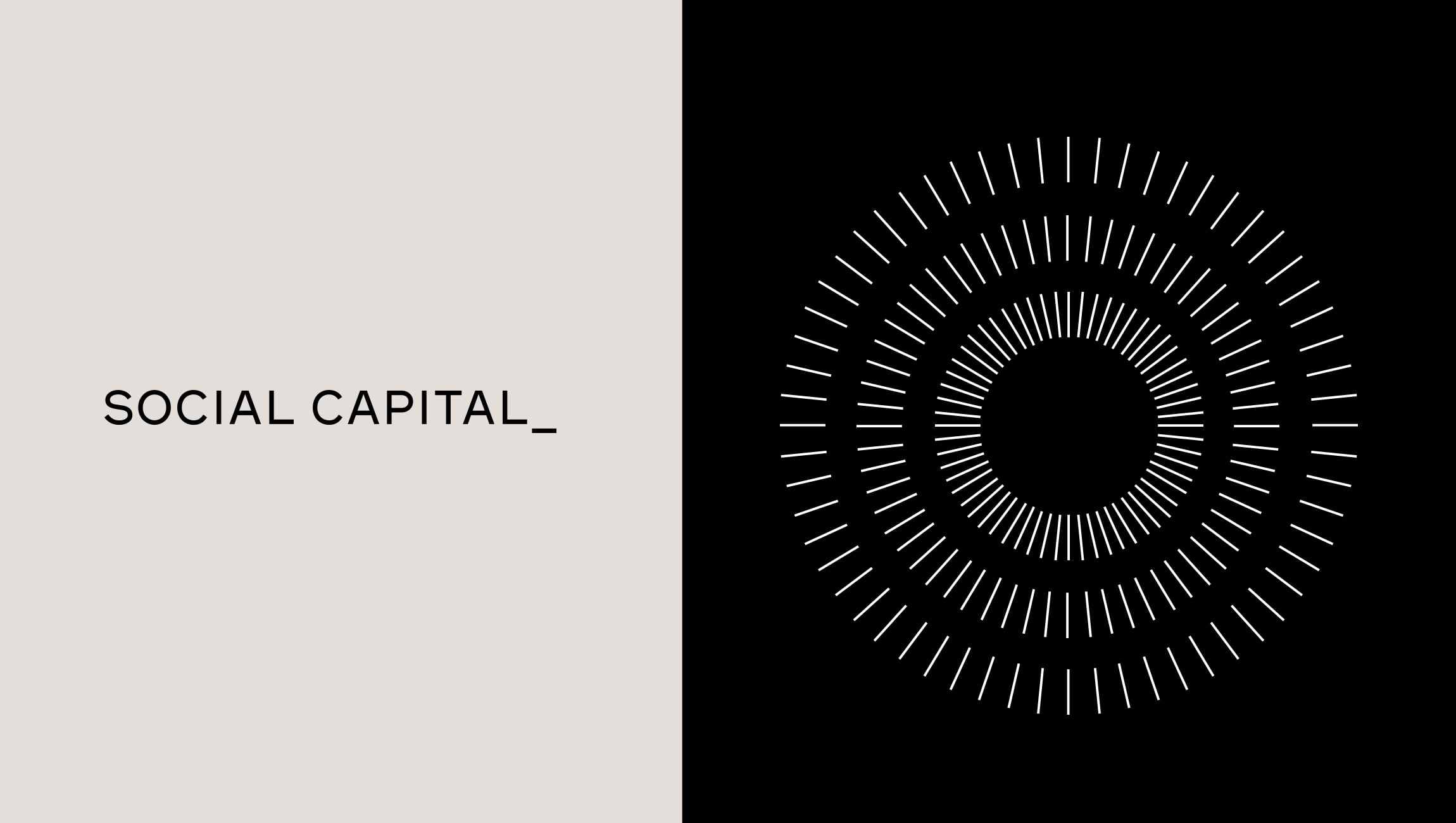 Social Capital 2022 Website